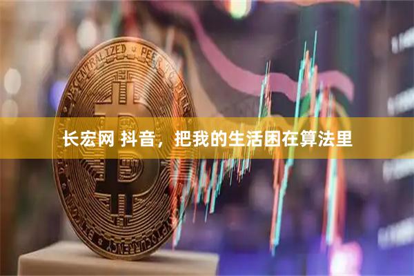 长宏网 抖音，把我的生活困在算法里