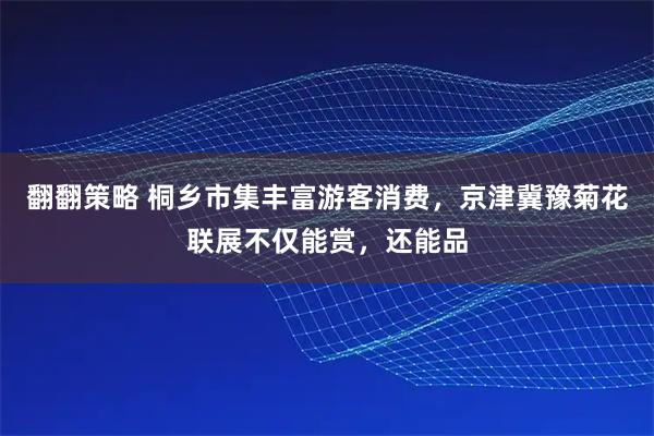 翻翻策略 桐乡市集丰富游客消费，京津冀豫菊花联展不仅能赏，还能品