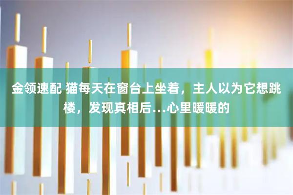金领速配 猫每天在窗台上坐着，主人以为它想跳楼，发现真相后…心里暖暖的